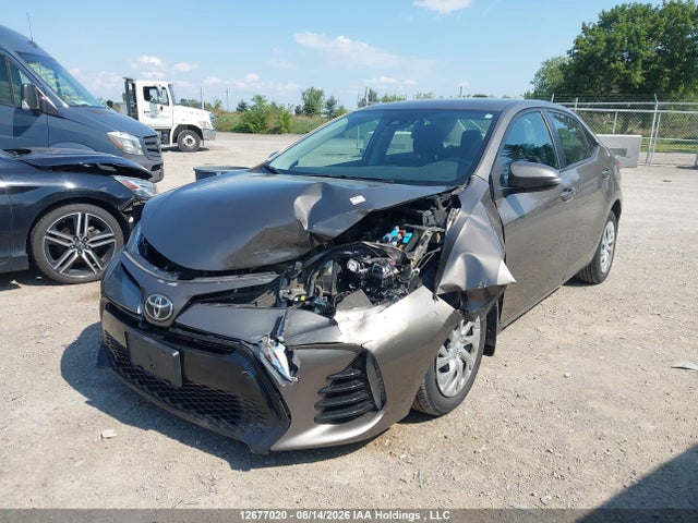 2017 Toyota Corolla L/le/xle/se/xse მანქანა იყიდება აუქციონზე, vin: 2T1BURHE5HC775221, აუქციონის ნომერი: 12677020