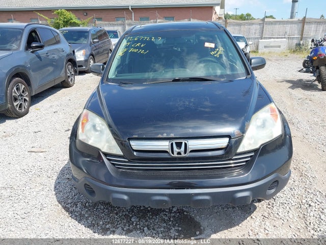 Продаж на аукціоні авто 2009 Honda Cr-v Ex, vin: 5J6RE48559L800721, номер лоту: 12677227