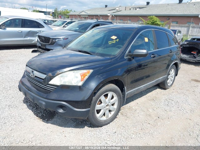 Продаж на аукціоні авто 2009 Honda Cr-v Ex, vin: 5J6RE48559L800721, номер лоту: 12677227