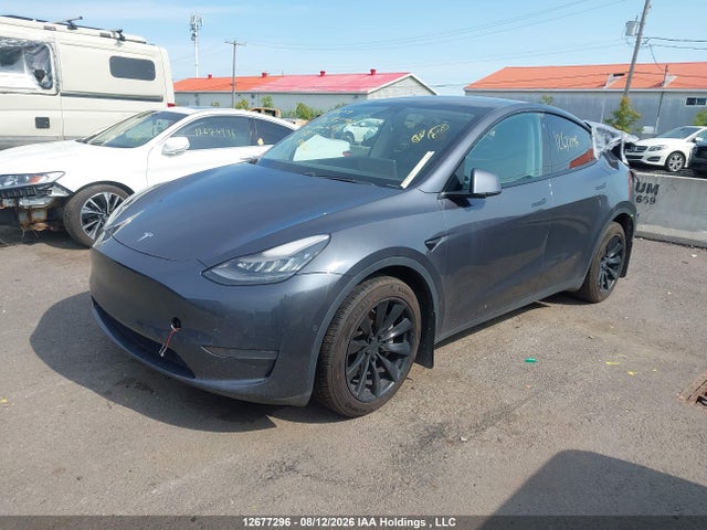 Продаж на аукціоні авто 2021 Tesla Model Y Long Range, vin: 5YJYGDEEXMF078335, номер лоту: 12677296