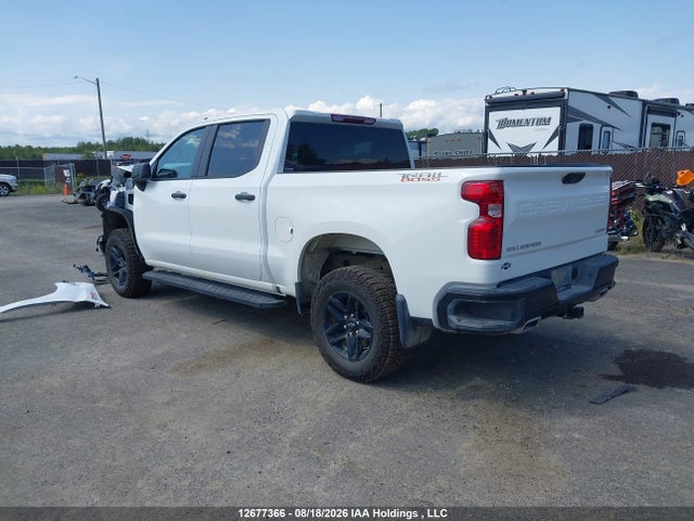 3GCUKCE88TG228663 Chevrolet Silverado K1500 Trail Boss Custom