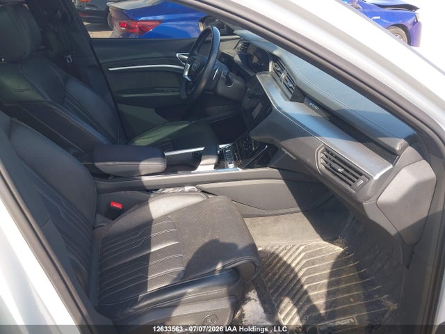 WA13AAGE4MB000833 Audi E-tron 55 Technik
