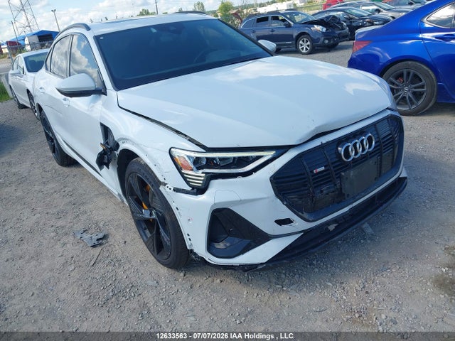 WA13AAGE4MB000833 Audi E-tron 55 Technik