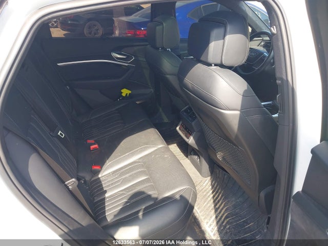 WA13AAGE4MB000833 Audi E-tron 55 Technik