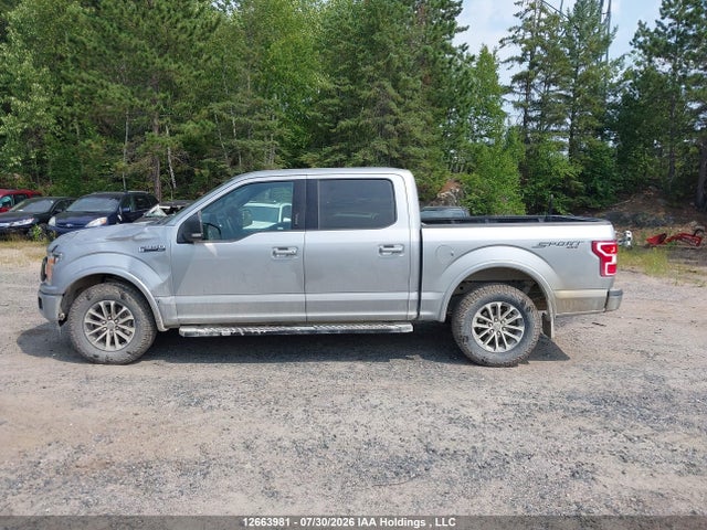 Aukcja sprzedaży 2020 Ford F-150 Xlt, vin: 1FTEW1EPXLKF29089, numer aukcji: 12663981