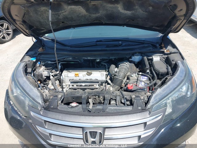 12665007 :رقم المزاد ، 2HKRM4H56EH116493 vin ، 2014 Honda Cr-v Ex مزاد بيع