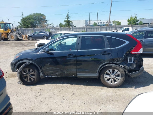 Auction sale of the 2014 Honda Cr-v Ex, vin: 2HKRM4H56EH116493, lot number: 12665007