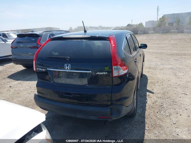 Auction sale of the 2014 Honda Cr-v Ex, vin: 2HKRM4H56EH116493, lot number: 12665007
