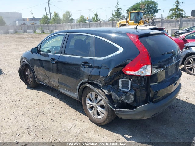 12665007 :رقم المزاد ، 2HKRM4H56EH116493 vin ، 2014 Honda Cr-v Ex مزاد بيع