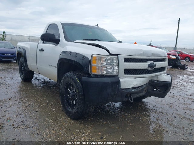 2007 Chevrolet Silverado C1500 მანქანა იყიდება აუქციონზე, vin: 1GCEC14C37Z587288, აუქციონის ნომერი: 12677489