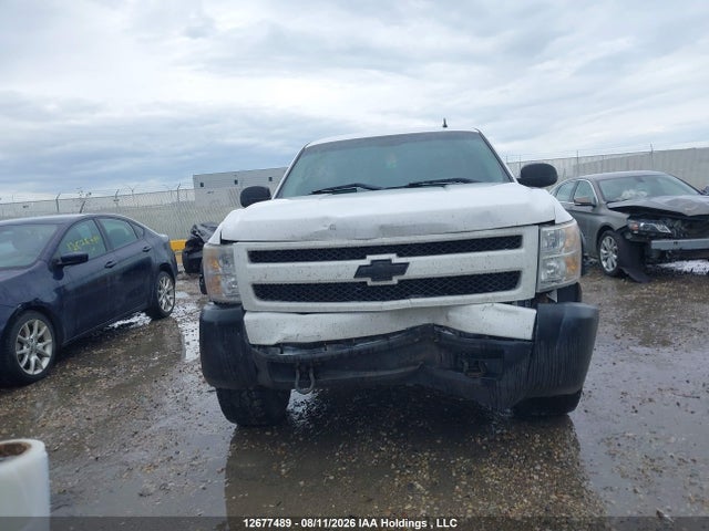 Продажа на аукционе авто 2007 Chevrolet Silverado C1500, vin: 1GCEC14C37Z587288, номер лота: 12677489