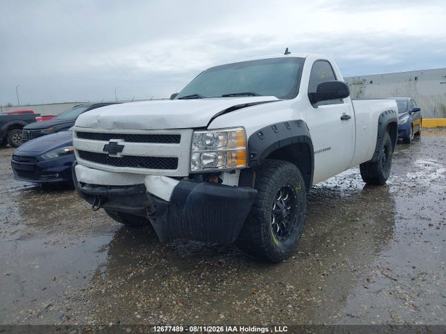 Продажа на аукционе авто 2007 Chevrolet Silverado C1500, vin: 1GCEC14C37Z587288, номер лота: 12677489