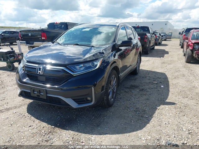 Auction sale of the 2021 Honda Cr-v, vin: 2HKRW2H46MH204383, lot number: 12677495