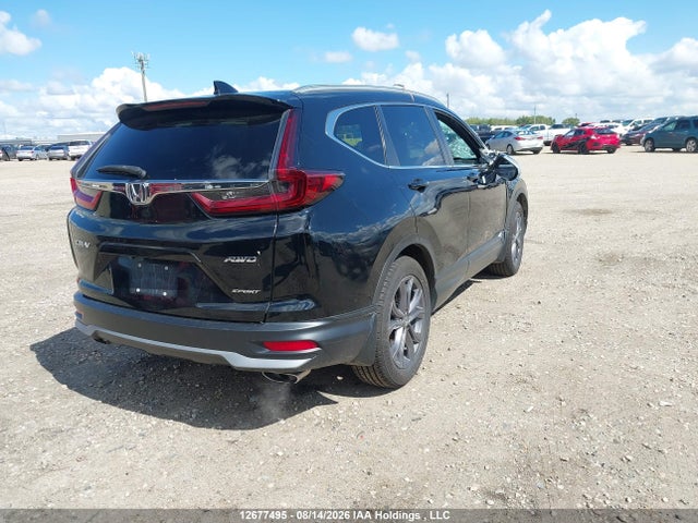Auction sale of the 2021 Honda Cr-v, vin: 2HKRW2H46MH204383, lot number: 12677495