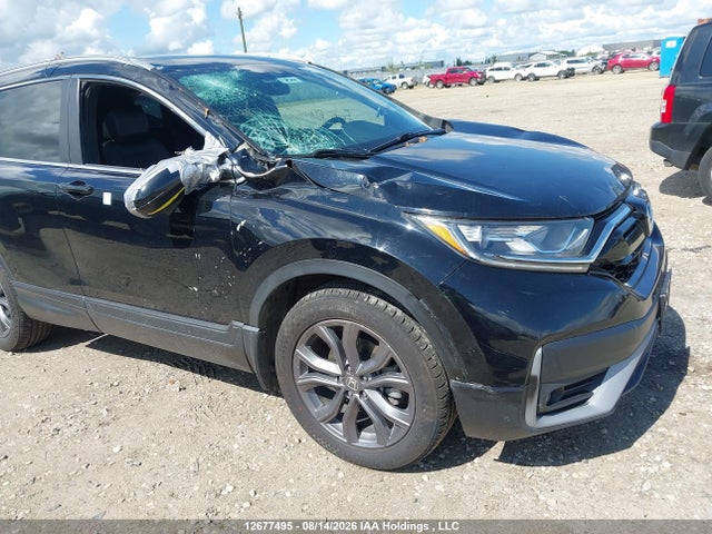 Auction sale of the 2021 Honda Cr-v, vin: 2HKRW2H46MH204383, lot number: 12677495