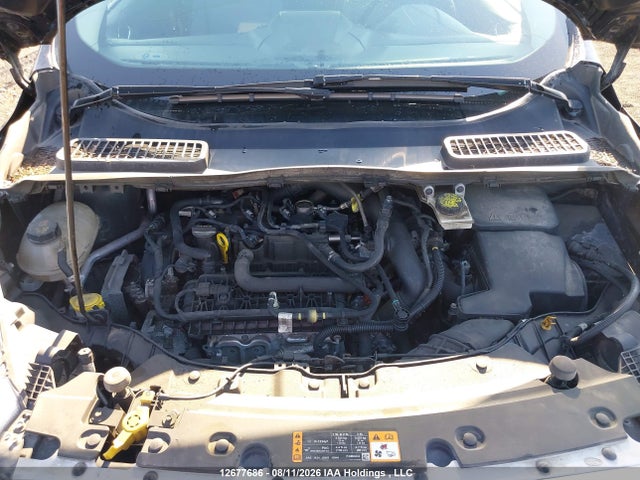 Продаж на аукціоні авто 2019 Ford Escape Se, vin: 1FMCU9GD5KUC58570, номер лоту: 12677686
