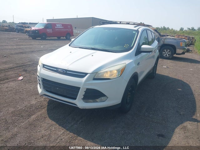 Ford Escape 2014 1FMCU9GX5EUB10482 Image 2