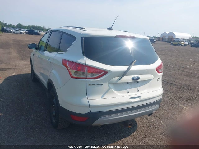Ford Escape 2014 1FMCU9GX5EUB10482 Image 3