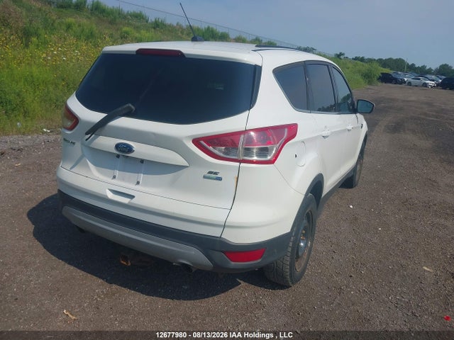 Ford Escape 2014 1FMCU9GX5EUB10482 Image 4