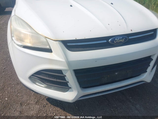 Ford Escape 2014 1FMCU9GX5EUB10482 Image 6