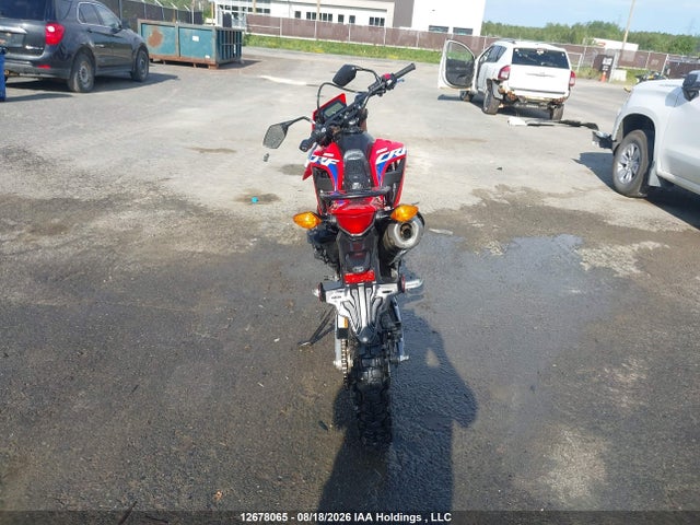 Honda Crf300 L 2021 MLHND1628M5000052 Image 6
