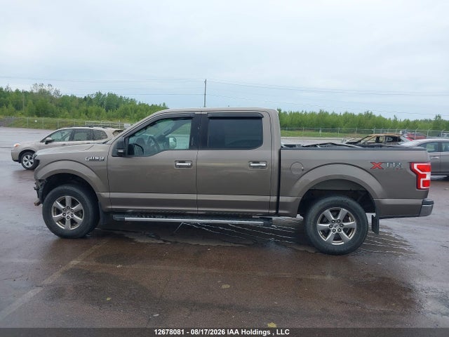 Ford F-150 Xlt 2019 1FTEW1E50KFB52133 Image 15