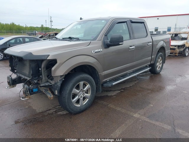 Ford F-150 Xlt 2019 1FTEW1E50KFB52133 Image 2