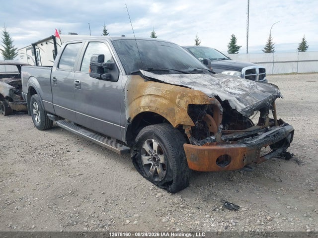 Продажа на аукционе авто 2013 Ford F-150 Fx4, vin: 1FTFW1EF2DFA07644, номер лота: 12678160