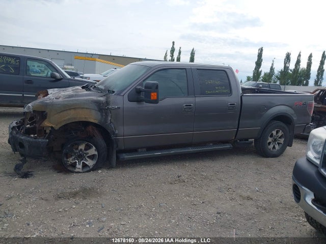 Продажа на аукционе авто 2013 Ford F-150 Fx4, vin: 1FTFW1EF2DFA07644, номер лота: 12678160