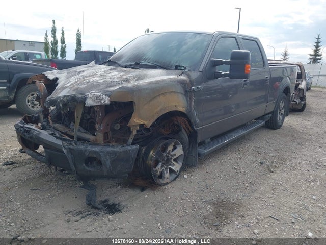 Продажа на аукционе авто 2013 Ford F-150 Fx4, vin: 1FTFW1EF2DFA07644, номер лота: 12678160