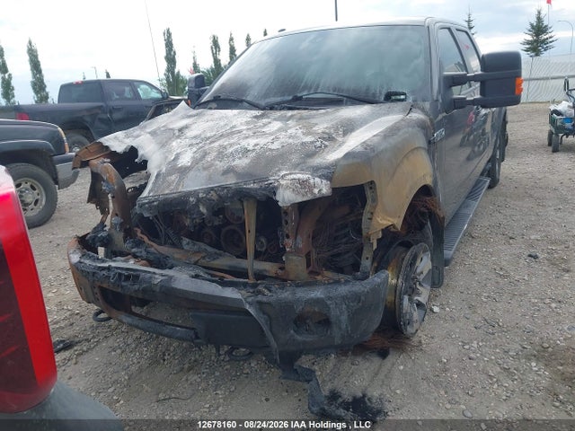 Продажа на аукционе авто 2013 Ford F-150 Fx4, vin: 1FTFW1EF2DFA07644, номер лота: 12678160