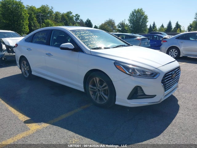 2019 5NPE34AF5KH763788 main image