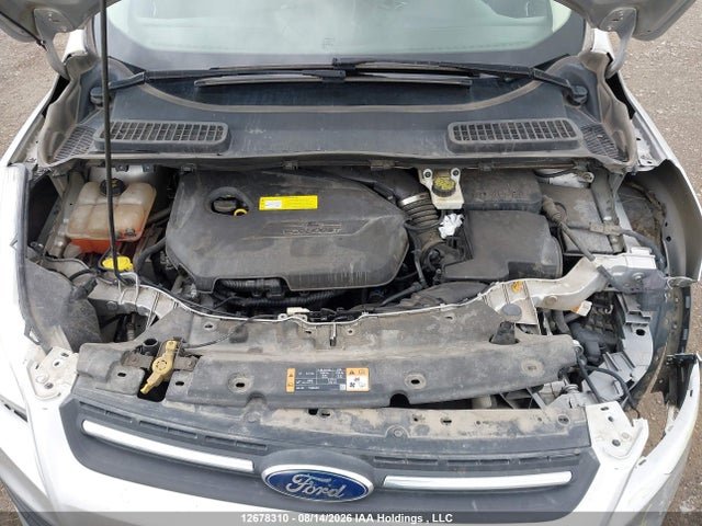 Ford ESCAPE SE 2015 1FMCU9GXXFUC50738 Image 10