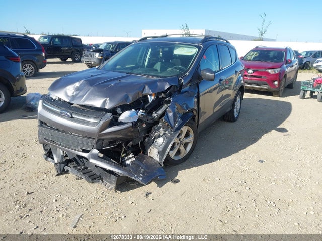 Продажа на аукционе авто 2014 Ford Escape Se, vin: 1FMCU9G90EUD67728, номер лота: 12678333