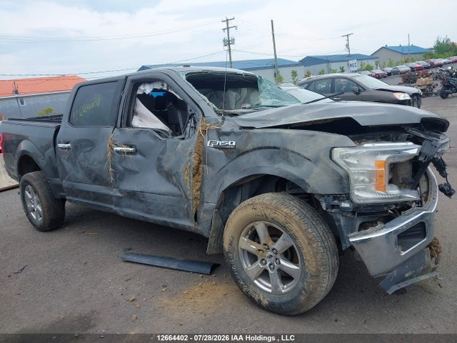 Ford F-150 Xlt 2018 1FTEW1EB9JFA98948 Image 12