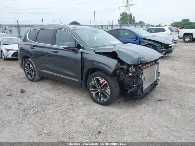 Hyundai Santa Fe Limited/ultimate 2020 5NMS5CAA1LH138220 главное изображение