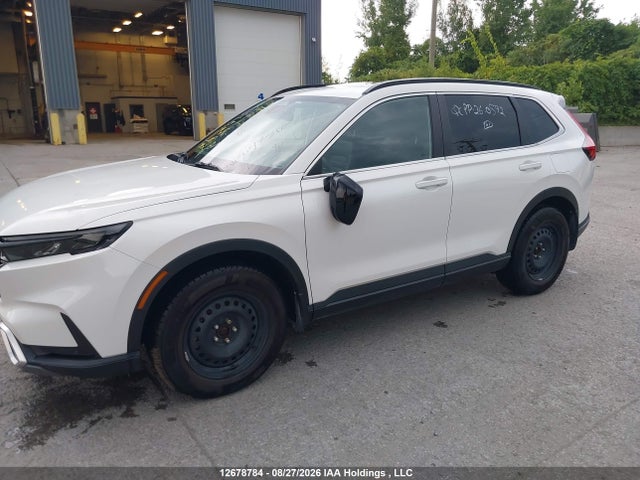 Honda CR-V 2024 2HKRS6H94RH214643 Image 6