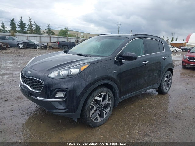 Продажа на аукционе авто 2020 Kia Sportage Ex/ex Premium/ex Premium S/ex S/ex Tech, vin: KNDPNCAC0L7796688, номер лота: 12678789
