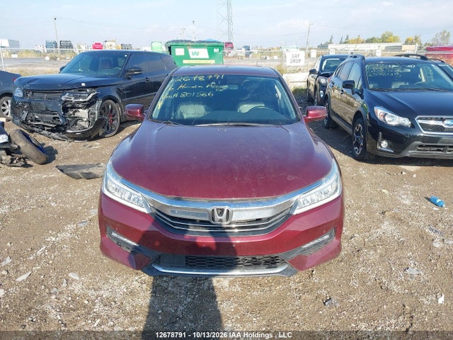 2016 Honda Accord Ex მანქანა იყიდება აუქციონზე, vin: 1HGCR2F05GA801566, აუქციონის ნომერი: 12678791