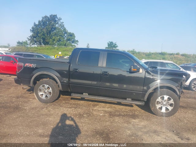 1FTFW1EFXEFB53386 Ford F-150 Fx4