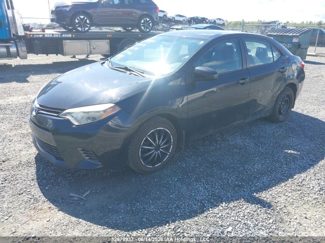 2T1BURHEXFC415780 Toyota Corolla L/le/le Pls/prm/s/s Pls