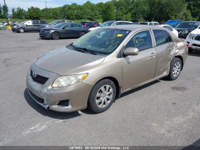 12679003 :رقم المزاد ، 2T1BU40E69C104608 vin ، 2009 Toyota Corolla Ce مزاد بيع