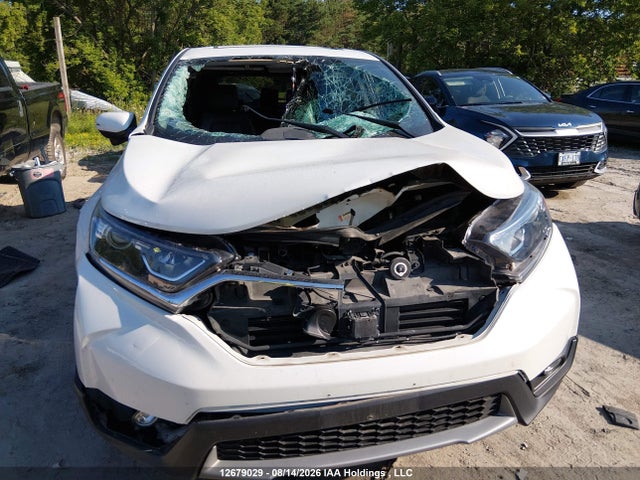 Honda Cr-v Ex-l 2019 2HKRW2H86KH128759 Image 13