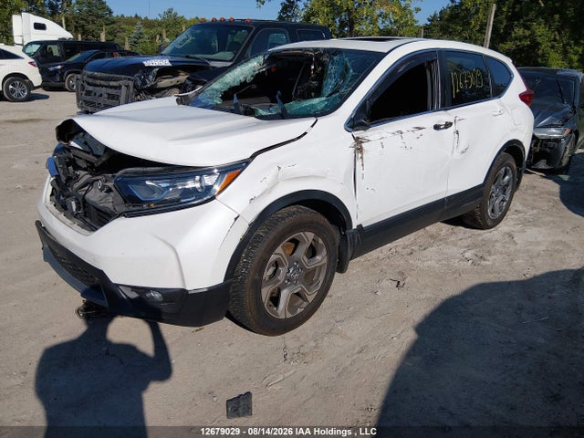 Honda Cr-v Ex-l 2019 2HKRW2H86KH128759 Image 2
