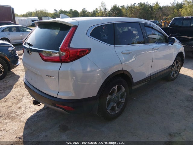 Honda Cr-v Ex-l 2019 2HKRW2H86KH128759 Image 4