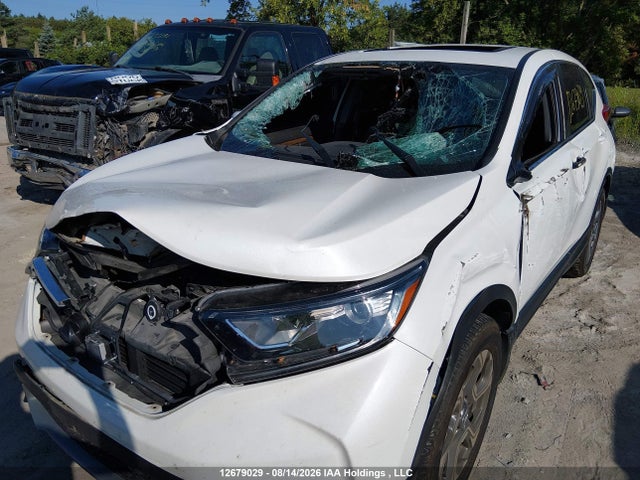 Honda Cr-v Ex-l 2019 2HKRW2H86KH128759 Image 6