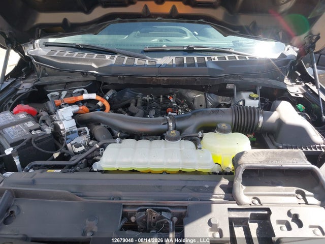 Aukcja sprzedaży 2026 Ford F150 Xlt, vin: 1FTFW3LD1TFA84985, numer aukcji: 12679048