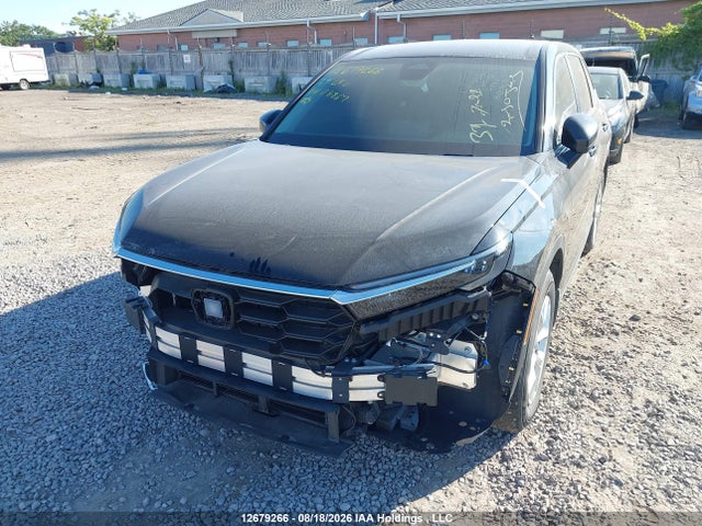 Honda CR-V LX 2024 2HKRS4H27RH118867 Image 6