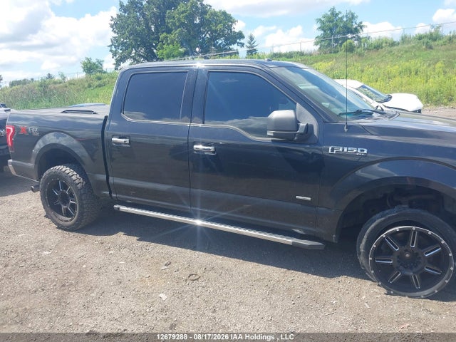 1FTEW1EPXFFB35542 Ford F-150 Xlt