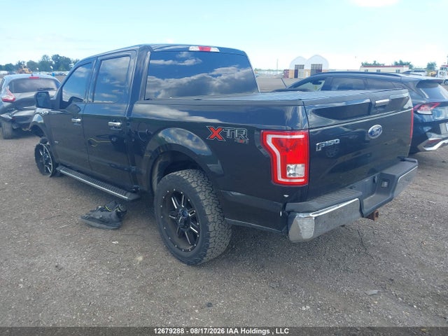 1FTEW1EPXFFB35542 Ford F-150 Xlt